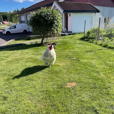 Studio Close To E18 Διαμέρισμα