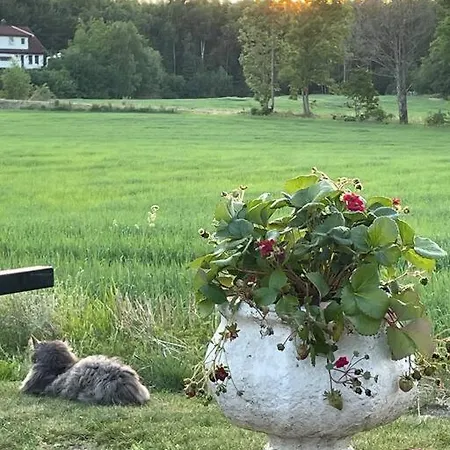 Διαμέρισμα Studio Close To E18 *