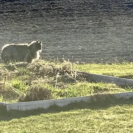 アパート Close To E18