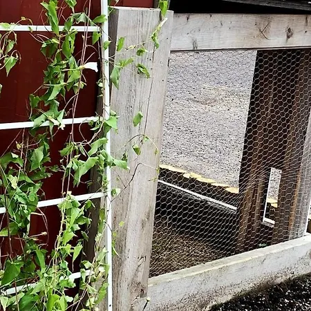 Διαμέρισμα Studio Close To E18 Holmestrand