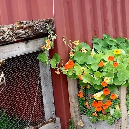 Διαμέρισμα Studio Close To E18 Holmestrand