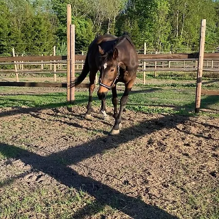 Studio Close To E18 Holmestrand