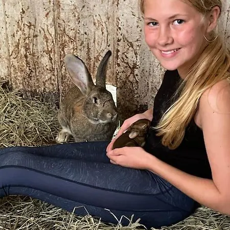 Studio Close To E18 *