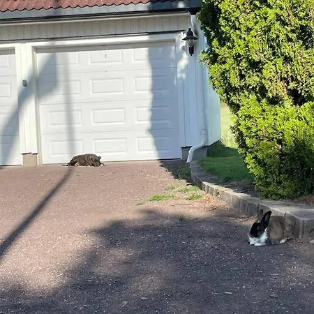 Διαμέρισμα Studio Close To E18 Holmestrand