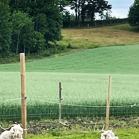 Close To E18 アパート *