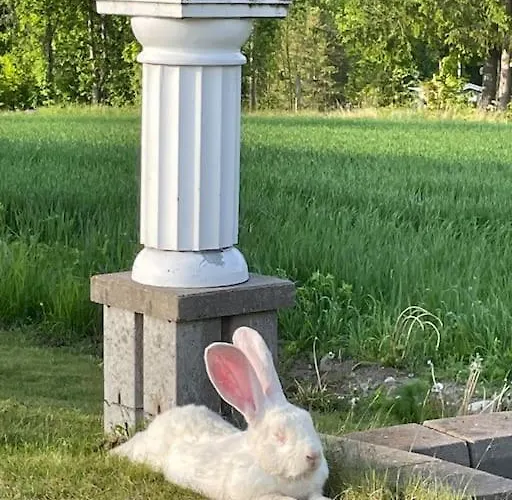 Close To E18 アパート Holmestrand