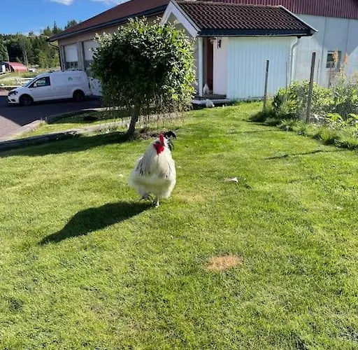 Close To E18 アパート