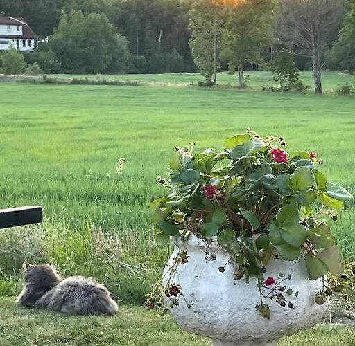 公寓 Close To E18 *