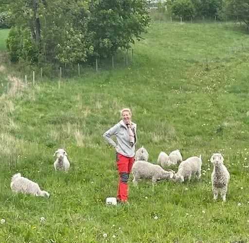 Close To E18 * Holmestrand