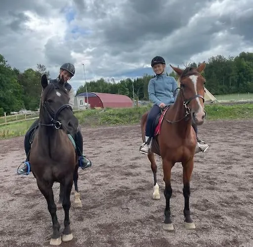 Close To E18 * Holmestrand