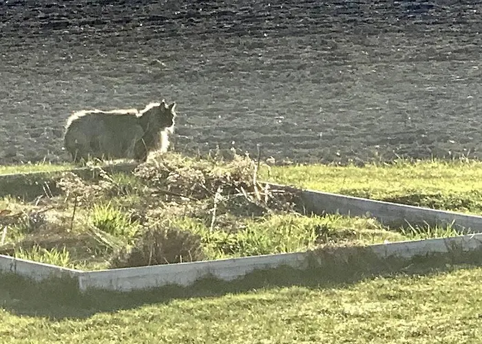 アパート Close To E18