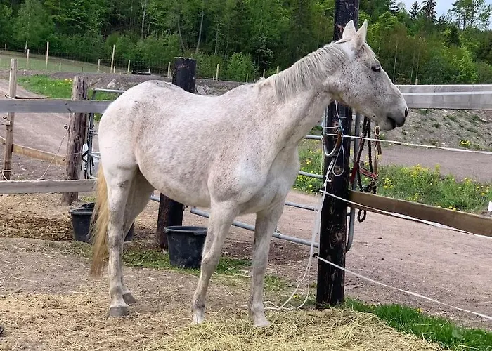 アパート Close To E18 Holmestrand