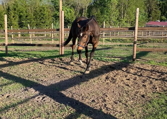 Close To E18 Holmestrand