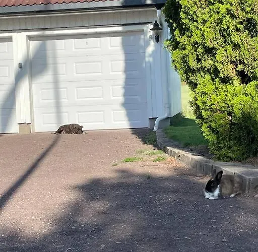 アパート Close To E18 Holmestrand