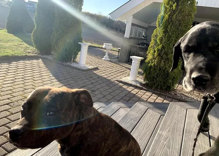 アパート Close To E18 Holmestrand