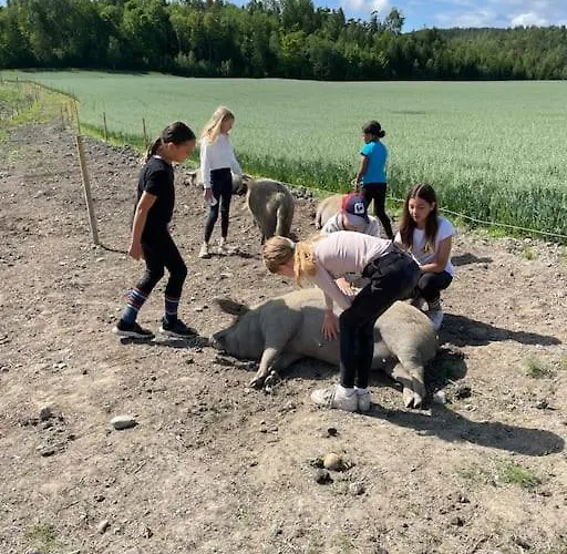 Close To E18 アパート Holmestrand